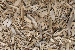 biomass boilers Bibstone